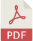 Download PDF