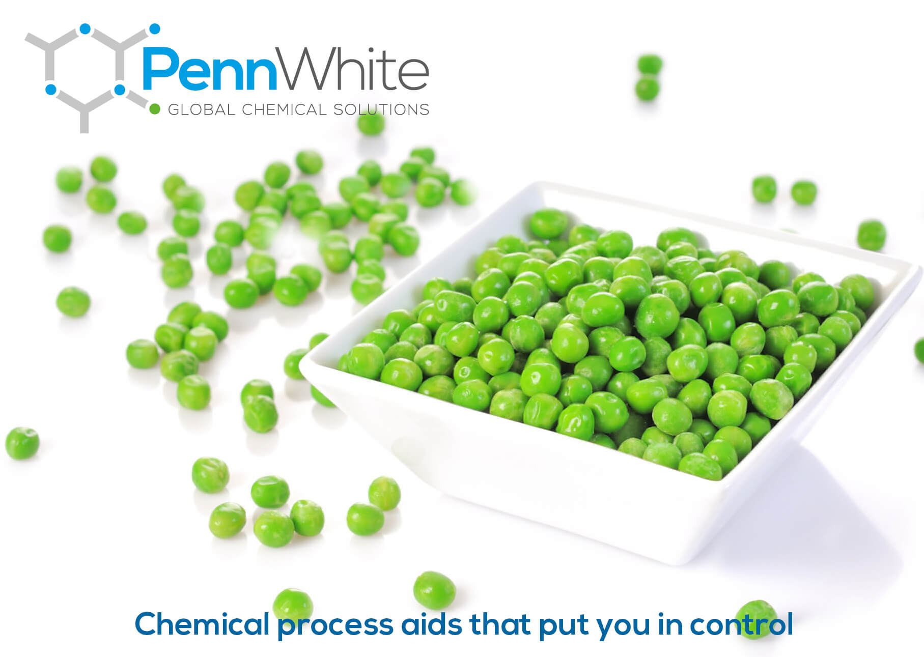 PennWhite help the pea harvest