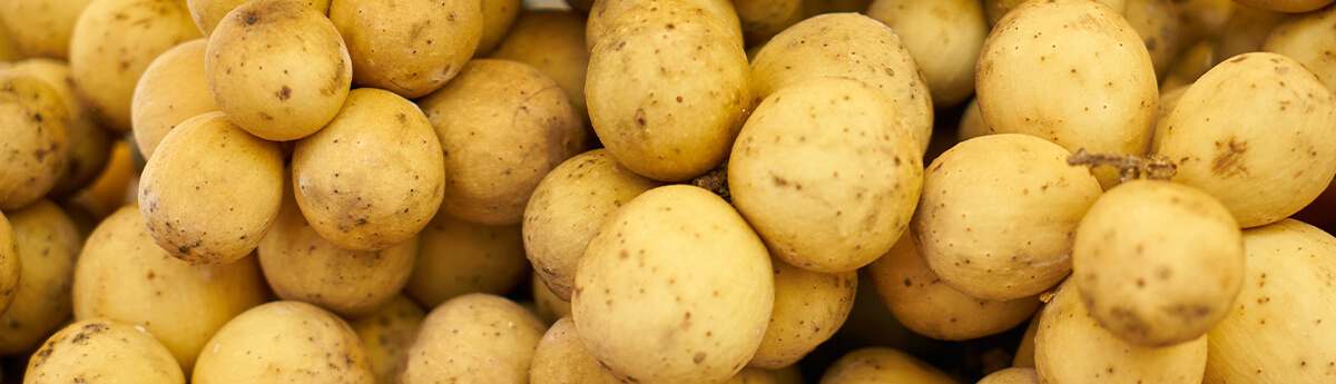 Vegetable Processing
